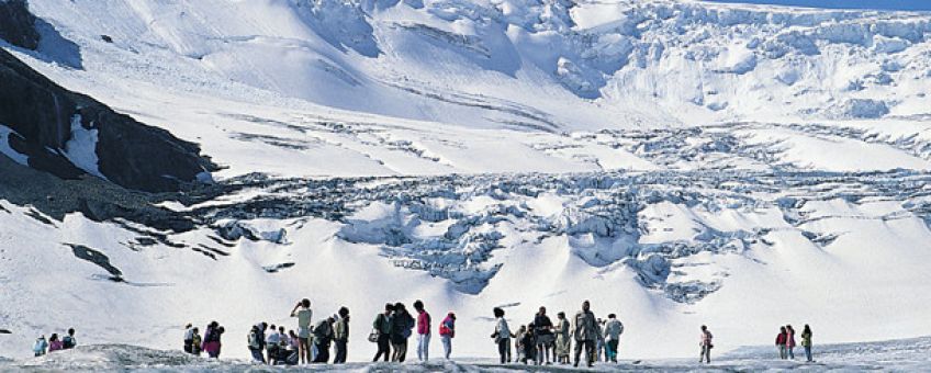 Winter Jasper to Banff and Lake Louise Tour