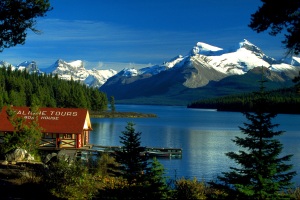 Train Tour Maligne Valley Boat Tour