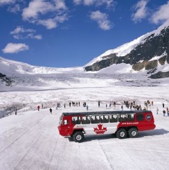 Columbia icefields tour