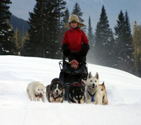 dogsledding1