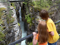 Columbia icefields tour