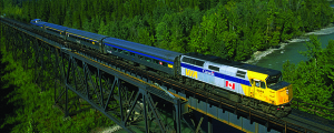 Train Tour Maligne Valley Boat Tour