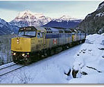 Icewalk train tour deal