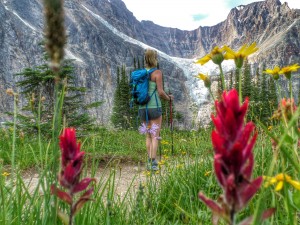 A person at maligne canyon with wildflowers in the foreground